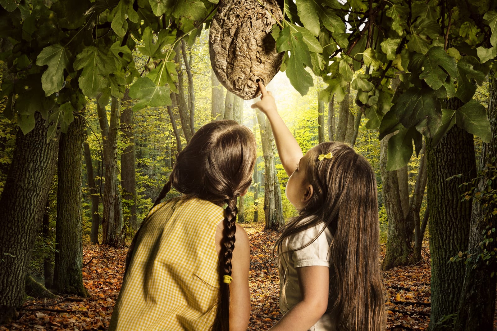 Holly Andres, The Summer of The Hornets #1 (The Nest), 2015