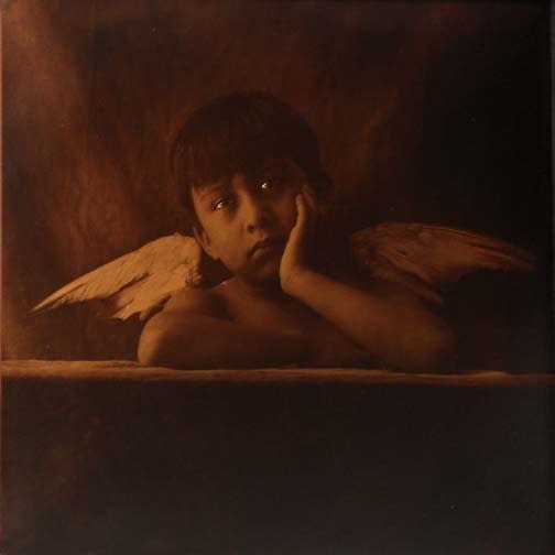 Luis Gonzalez Palma, Jaula de Ternura (Cage of Tenderness), 1992