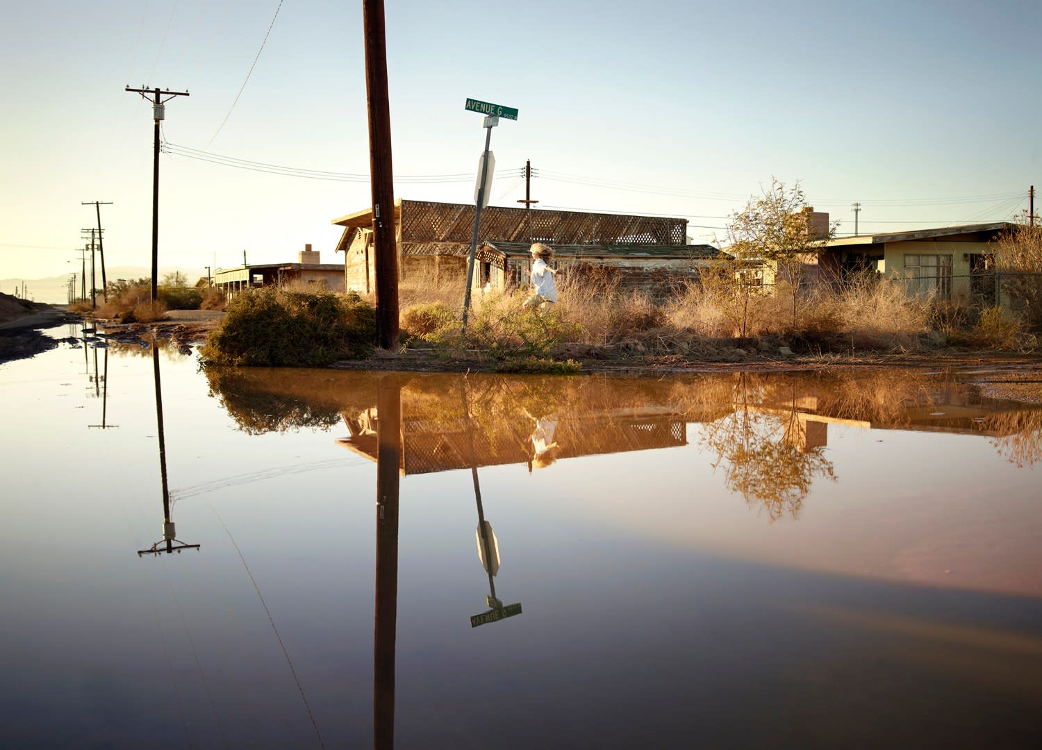 Tabitha Soren, Holly, Running 05539, 2012