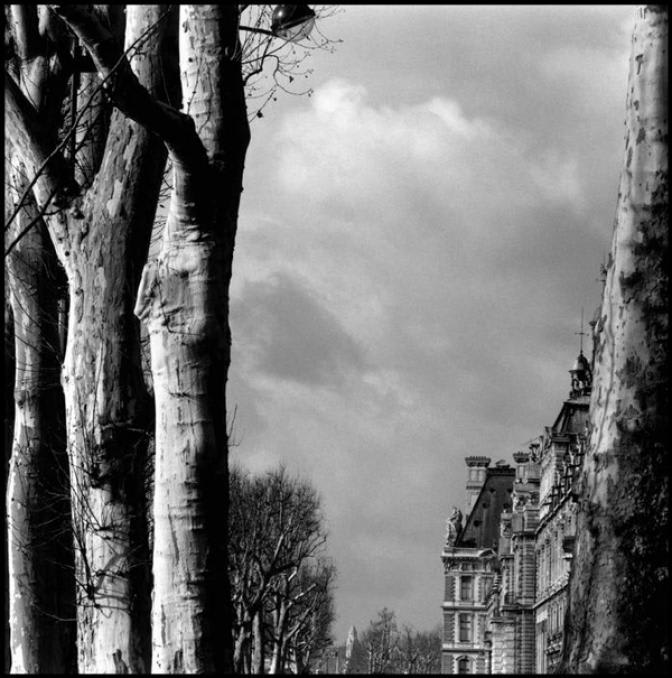 Bruce Davidson, Nature of Paris, 1st Arrondissement, Louvre Museum, 2006