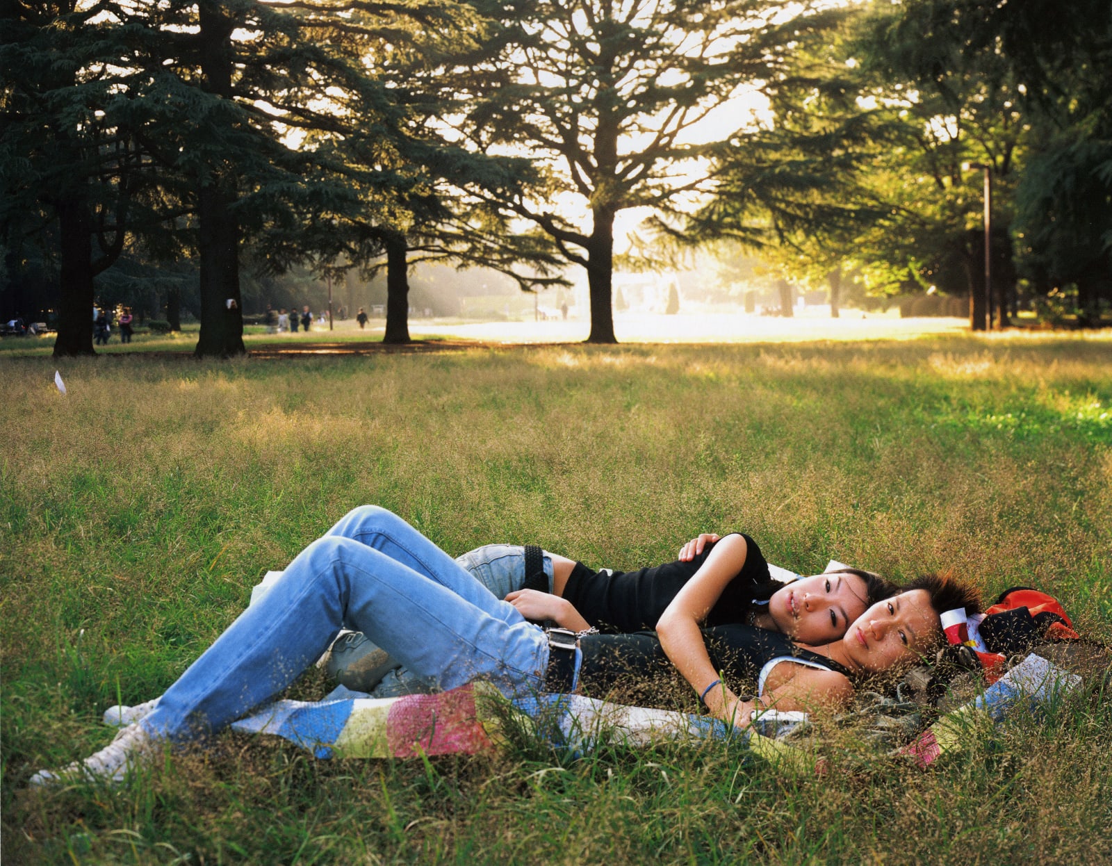 Masato Seto, Untitled, Picnic Series, Plate 46, 2004