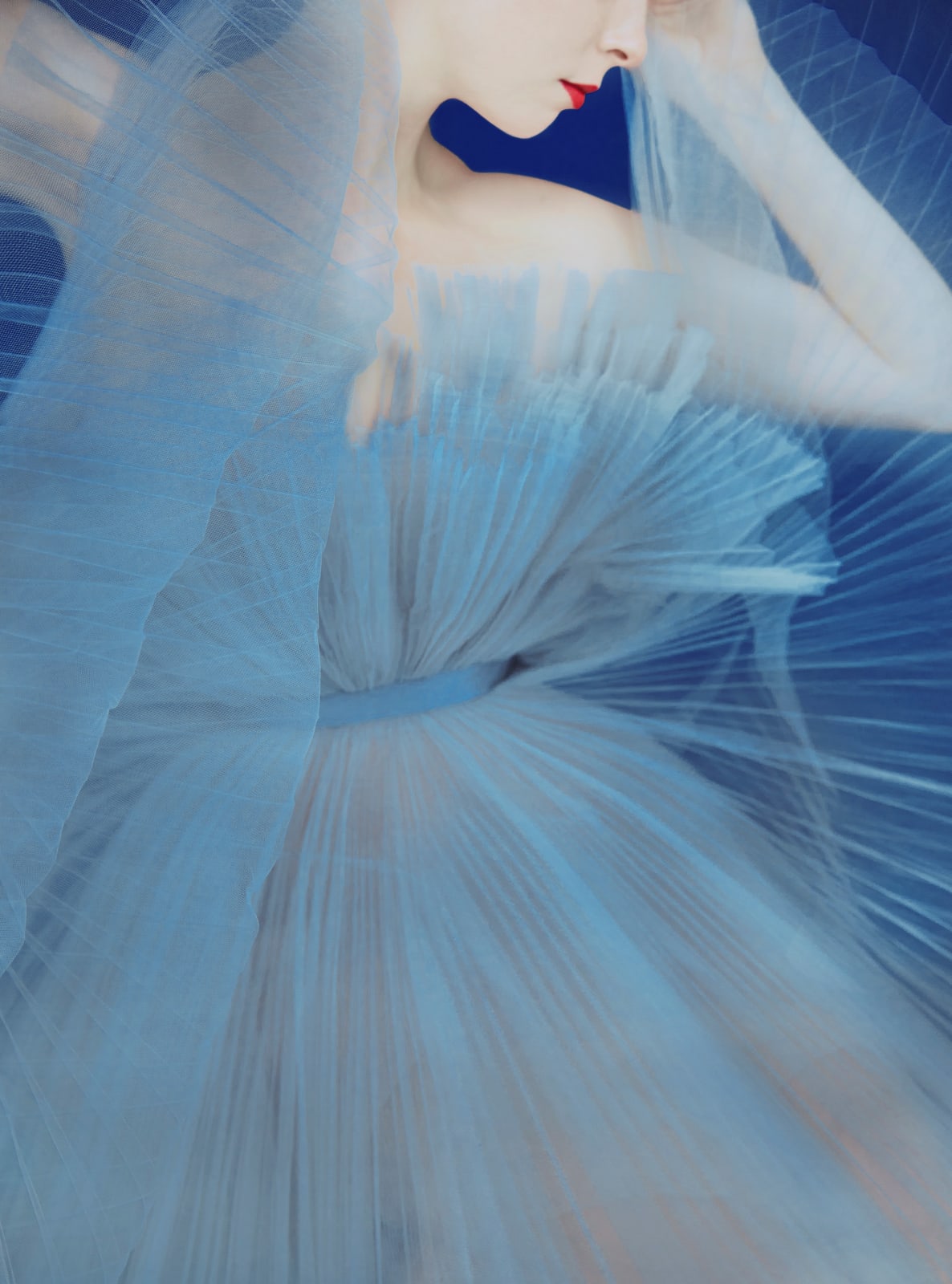 Erik Madigan Heck, Giambattista Valli Blue, 2019