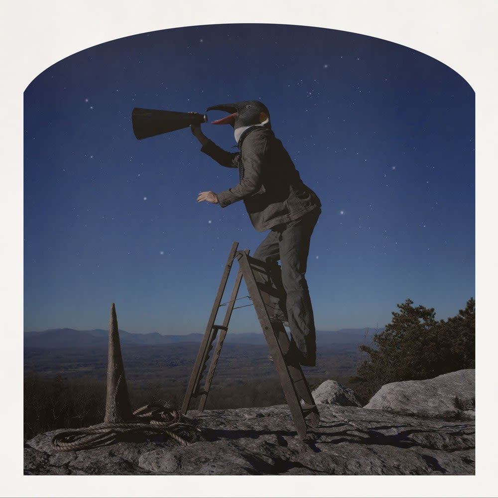 Kahn + Selesnick, Squawk!, 2012