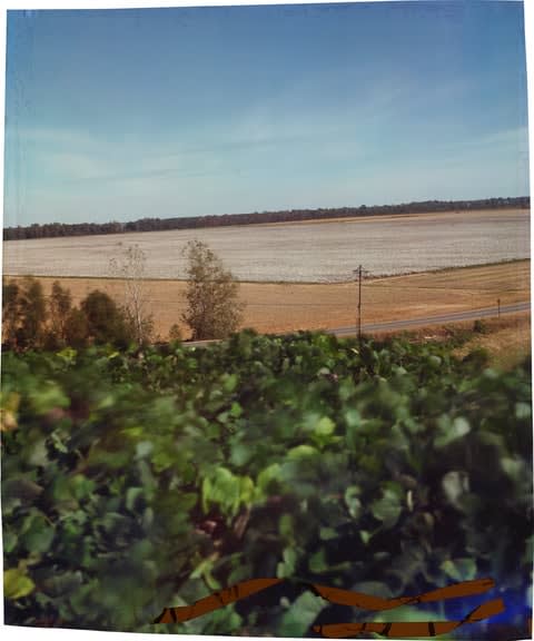 John Chiara, Liberty Hill at Redbud, 2017