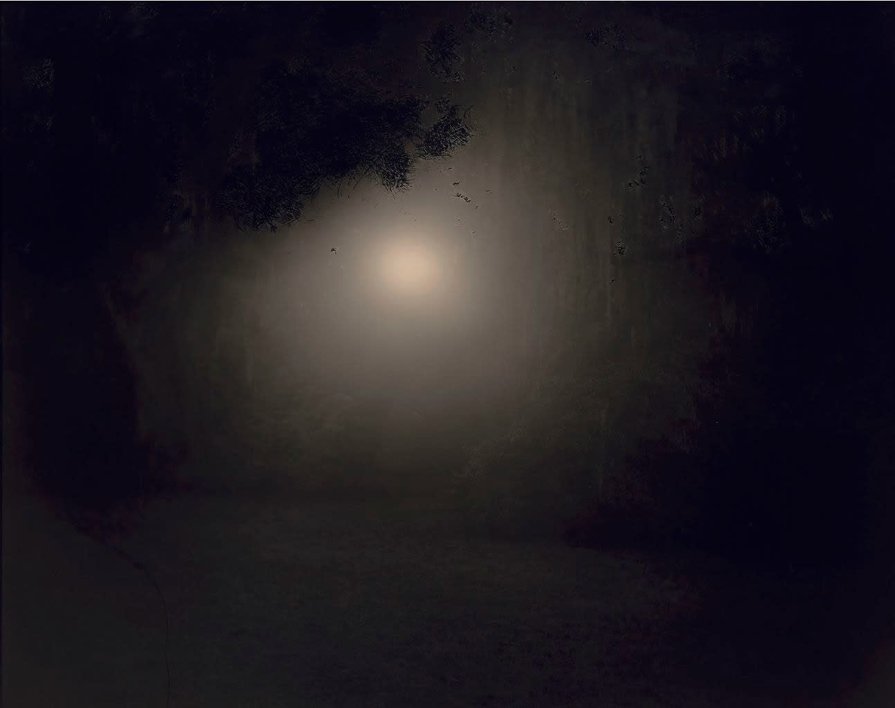 Sally Mann, Untitled #7 from Deep South, 1998