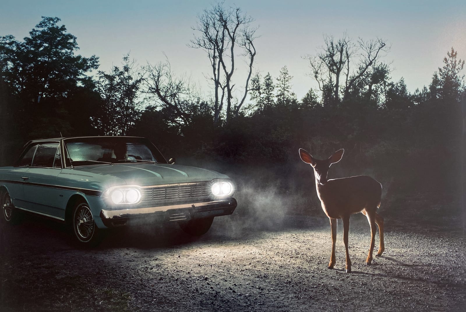Holly Andres, River Road: Milepost 13, 2015