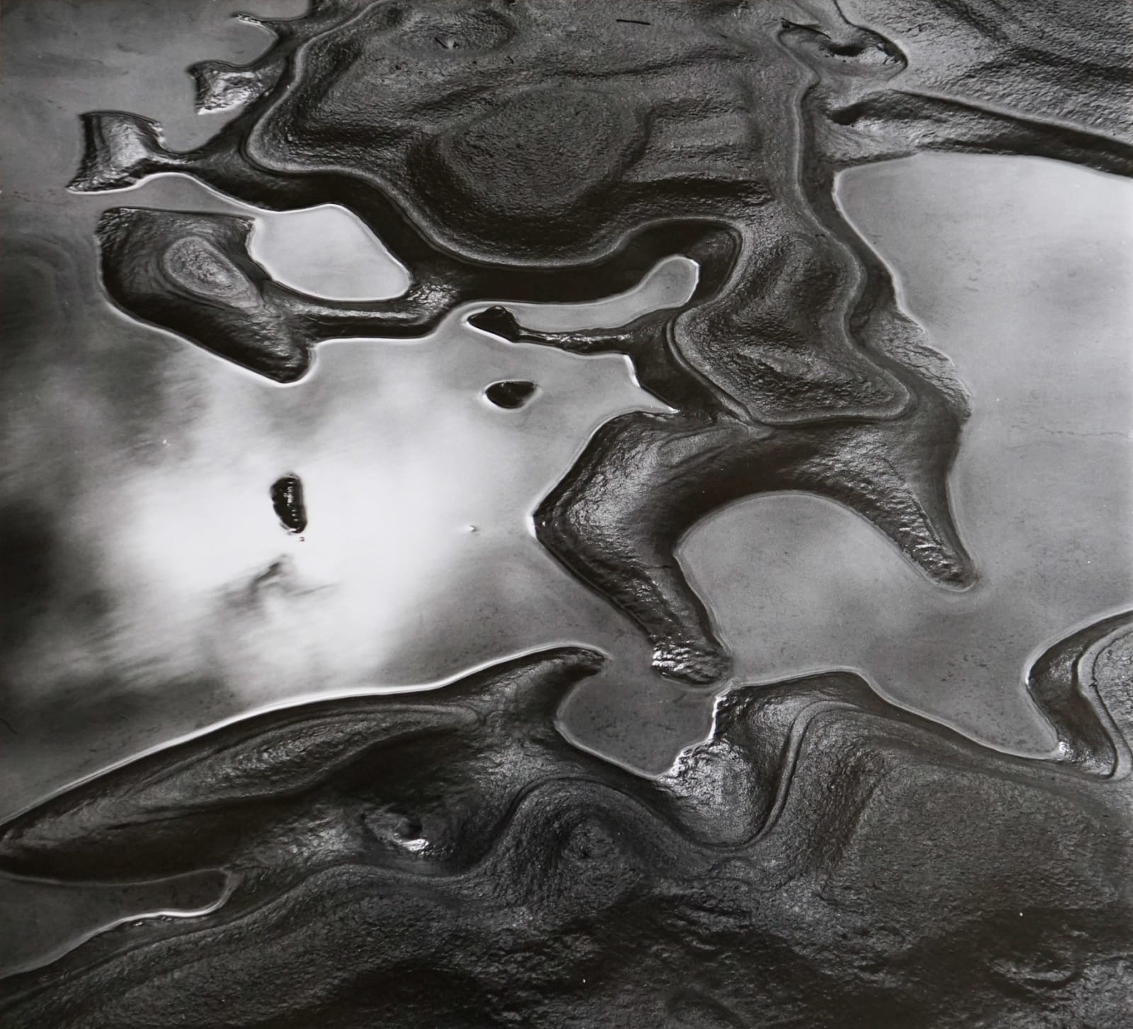 Brett Weston, Untitled