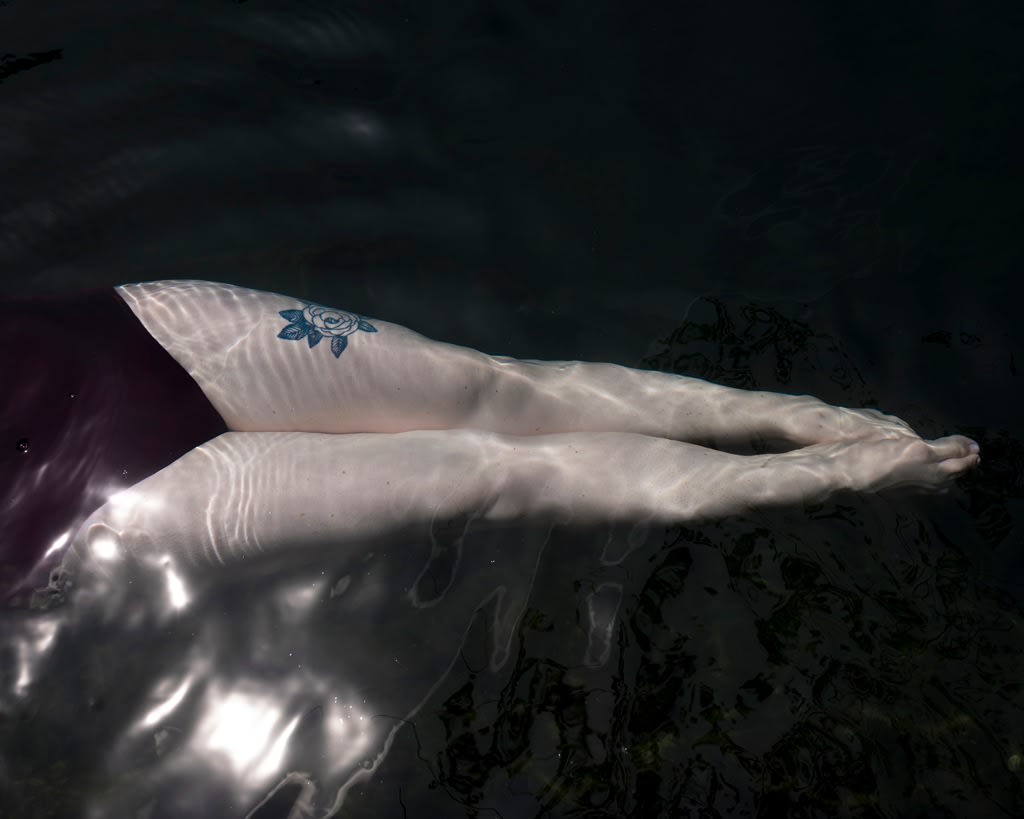 Cig Harvey, Plum Suit, Quarry, St George, Maine, 2018