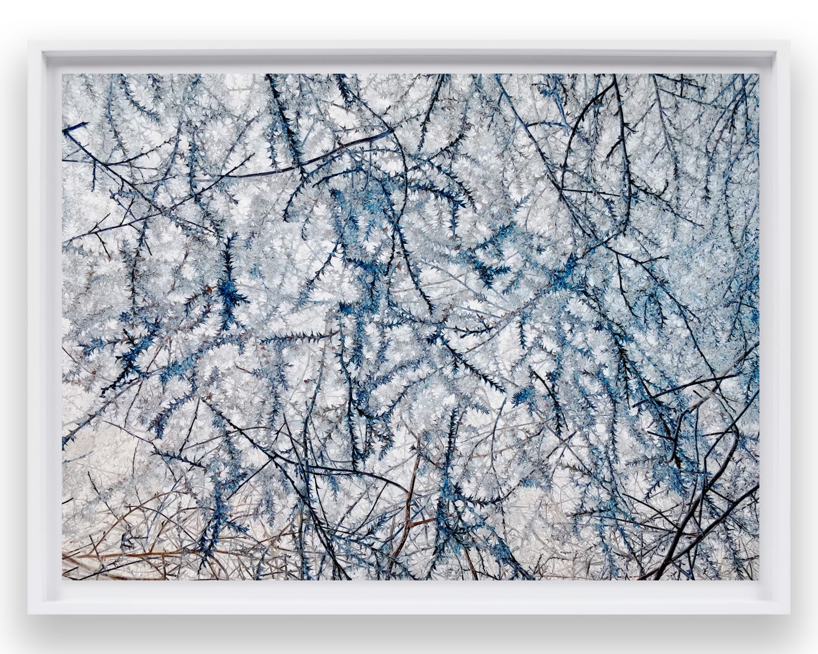 Richard Misrach, IPS #5957 (Scrub #51), 2014