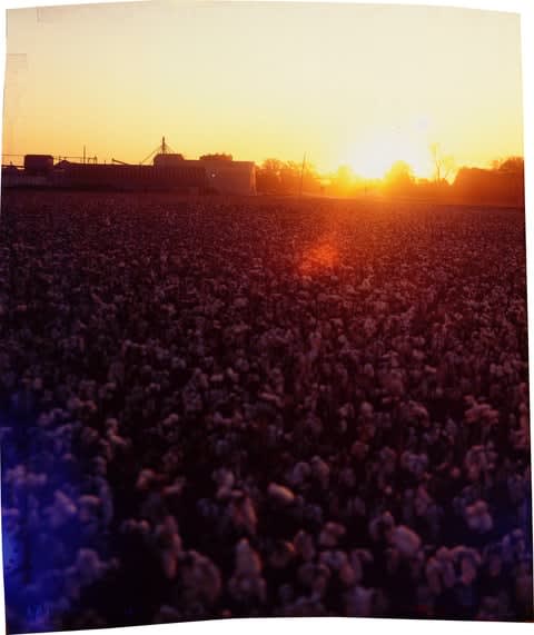 John Chiara, Austin Road at Old US 61 West, 2017