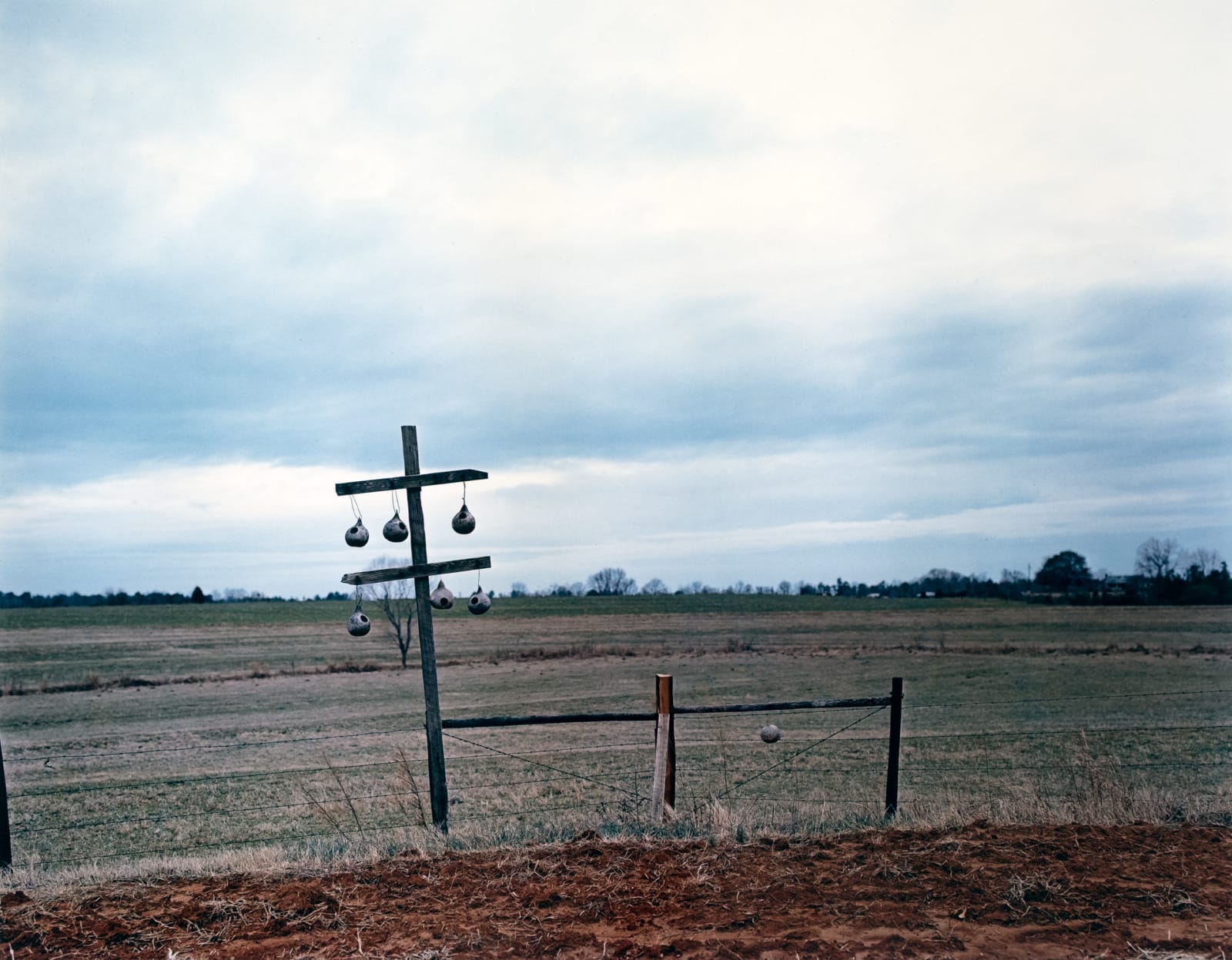 William Christenberry, Gourd Tree, near Akron, Alabama, 1981