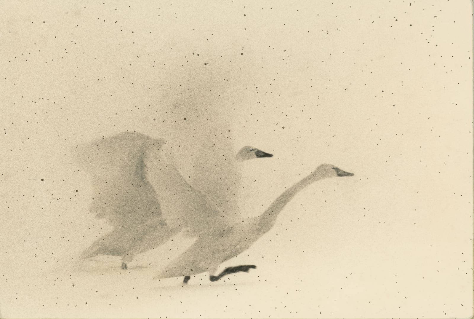 Yamamoto Masao, Kawa=Flow #1715, 2023