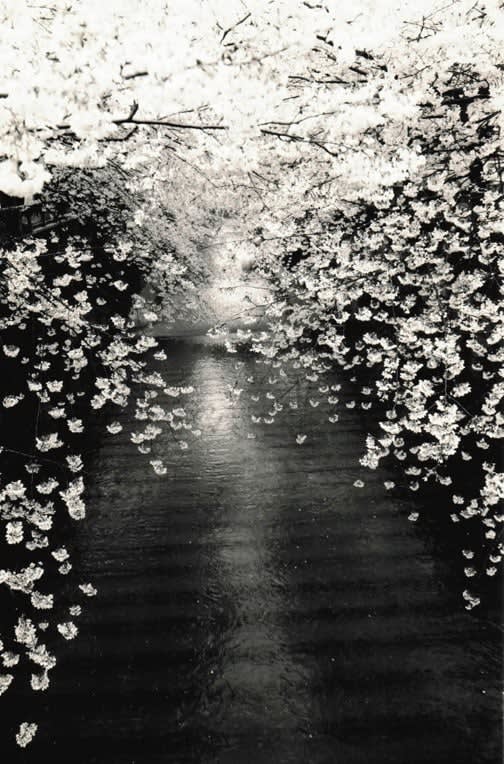 Yamamoto Masao, Kawa=Flow #1534, 2008