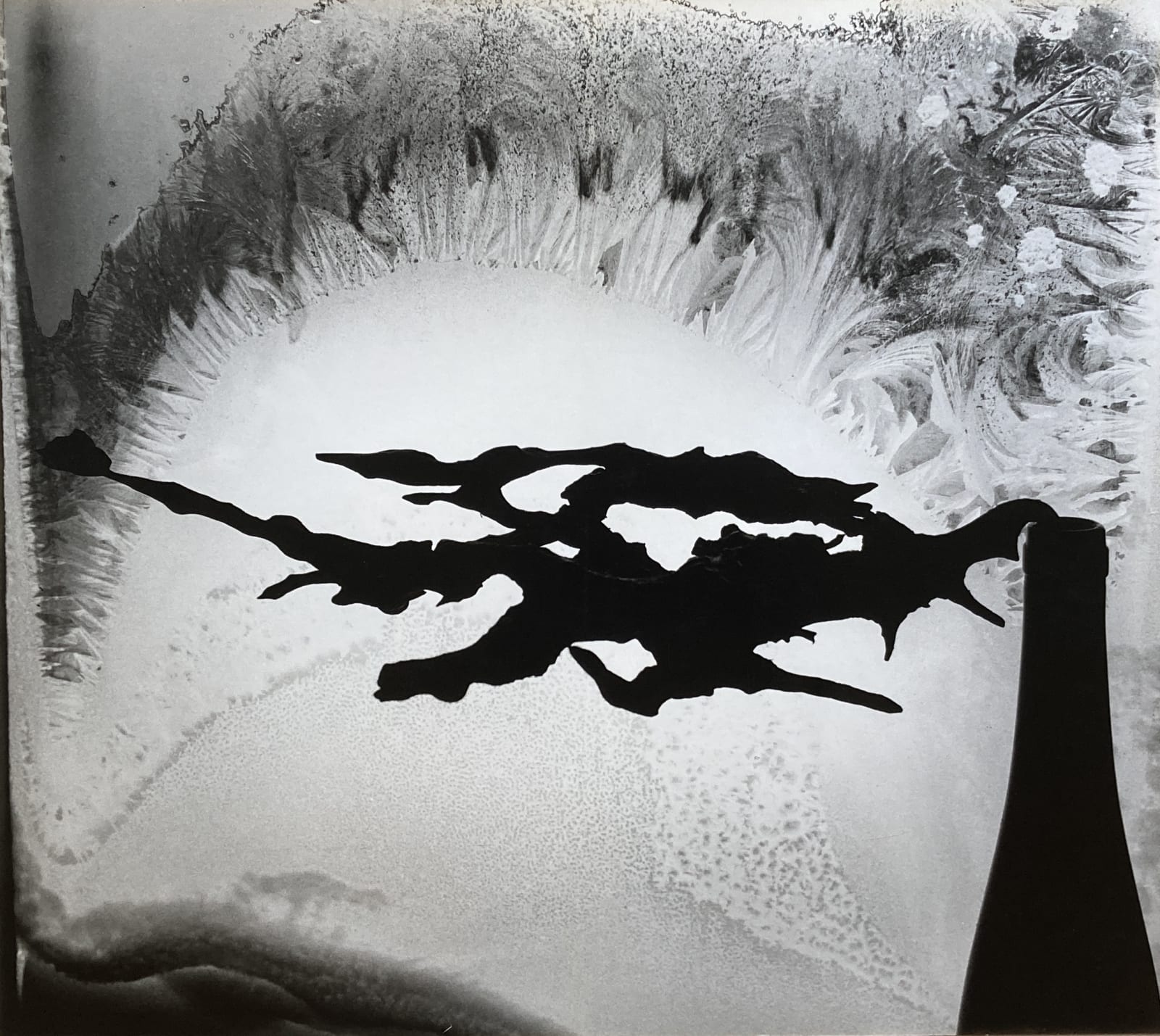 Minor White, Root and Frost, Rochester, NY, 1958