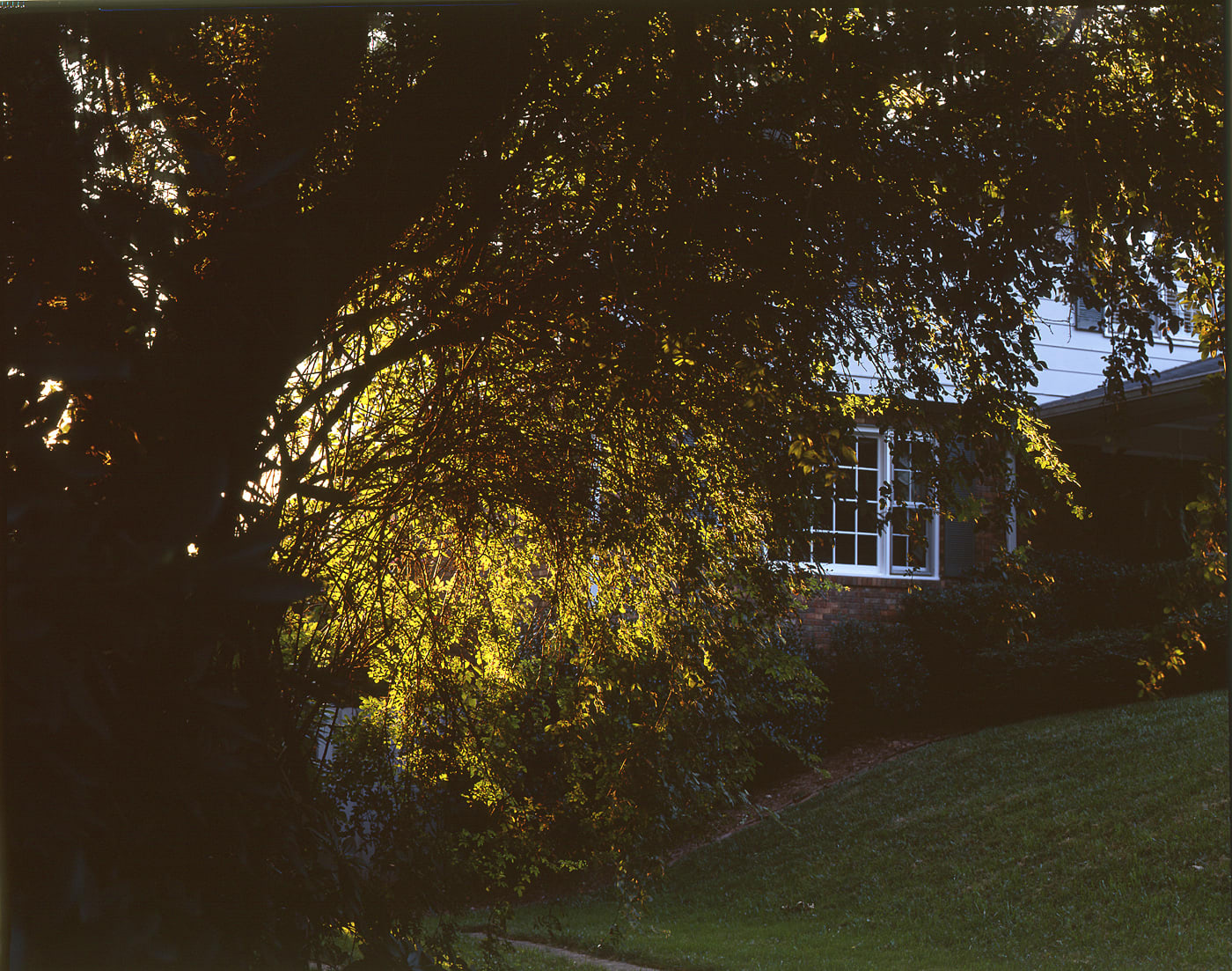 Angela West, The Westmorlands House, 2006