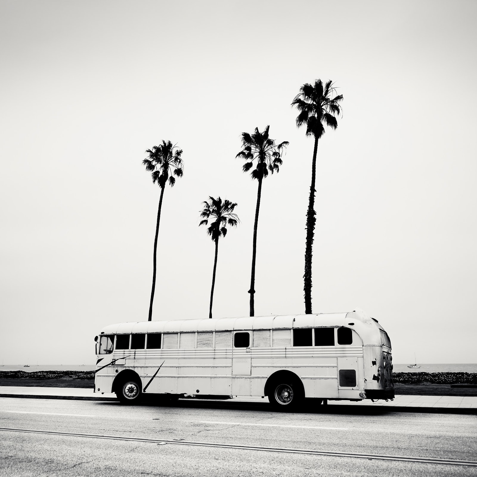 Josef Hoflehner, Bus Stop, Santa Barbara, California, 2009