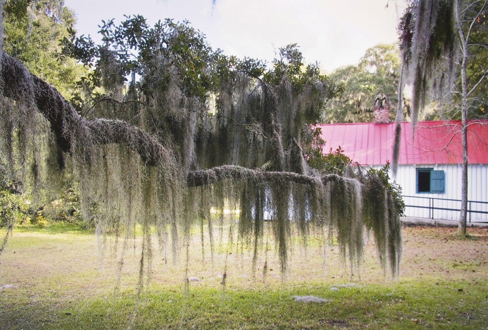 Richard Benson, Georgia, 2007