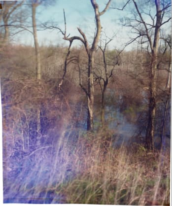 John Chiara, King and Anderson at Friar's Point, 2016