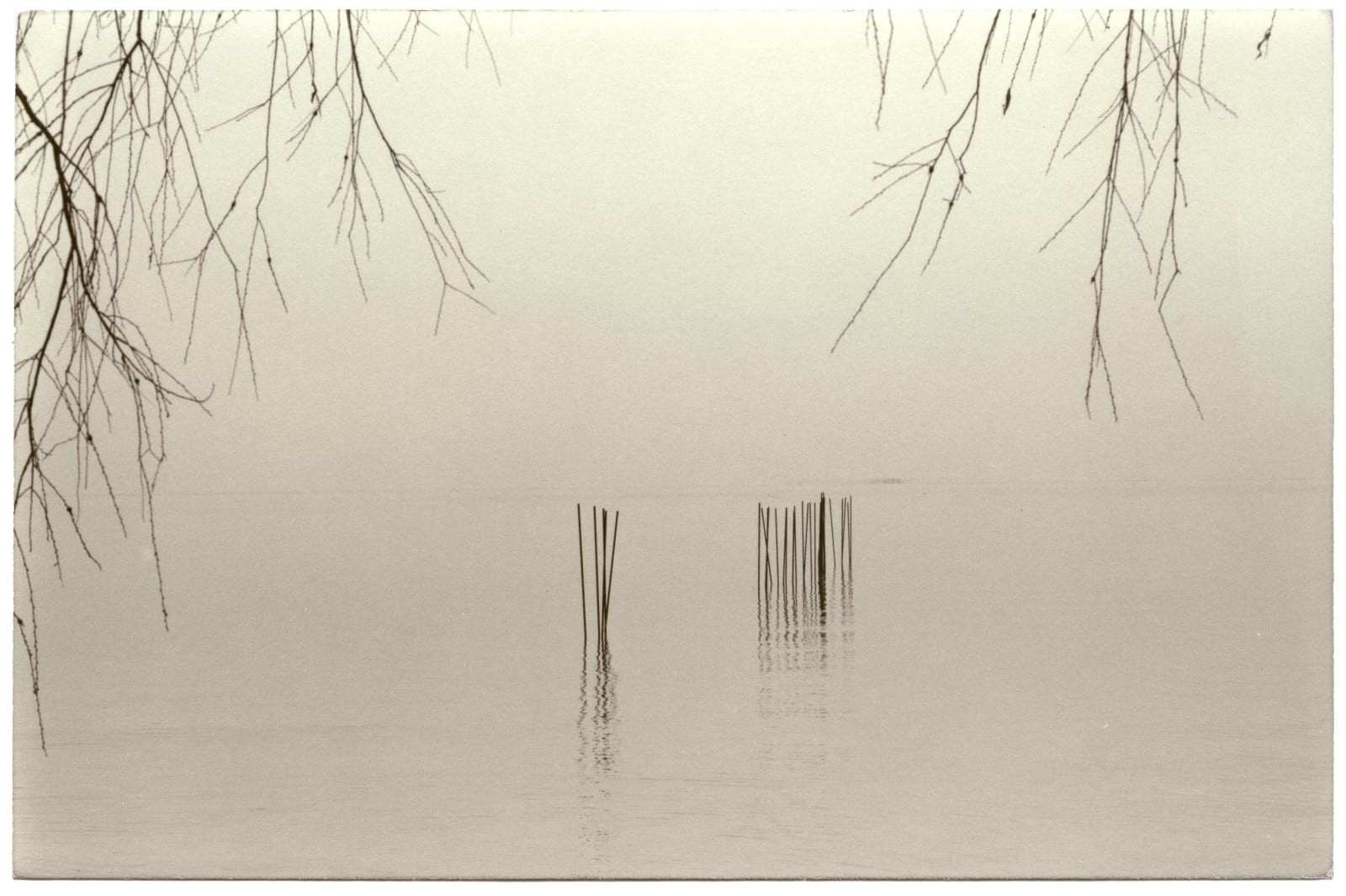 Yamamoto Masao, Nakazora #1394