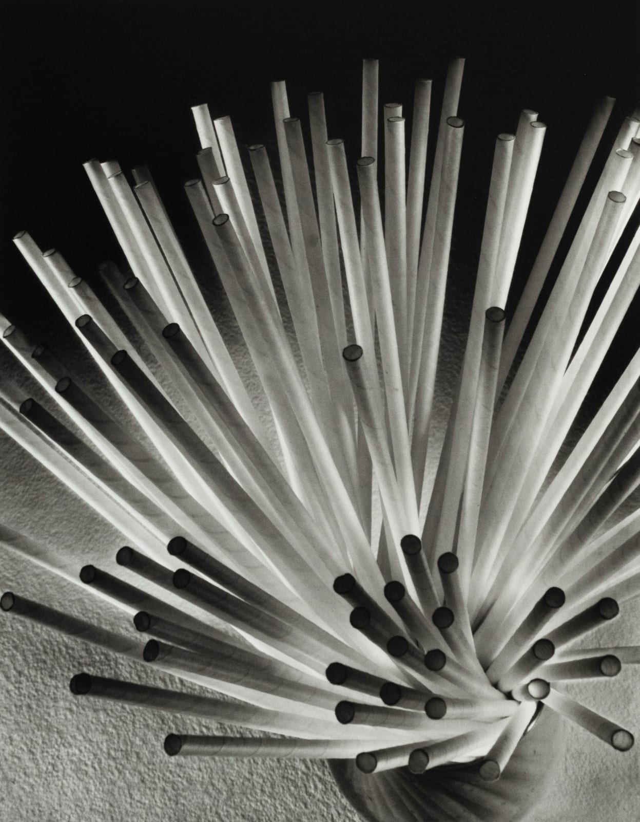 Ruth Bernhard, Straws, 1930