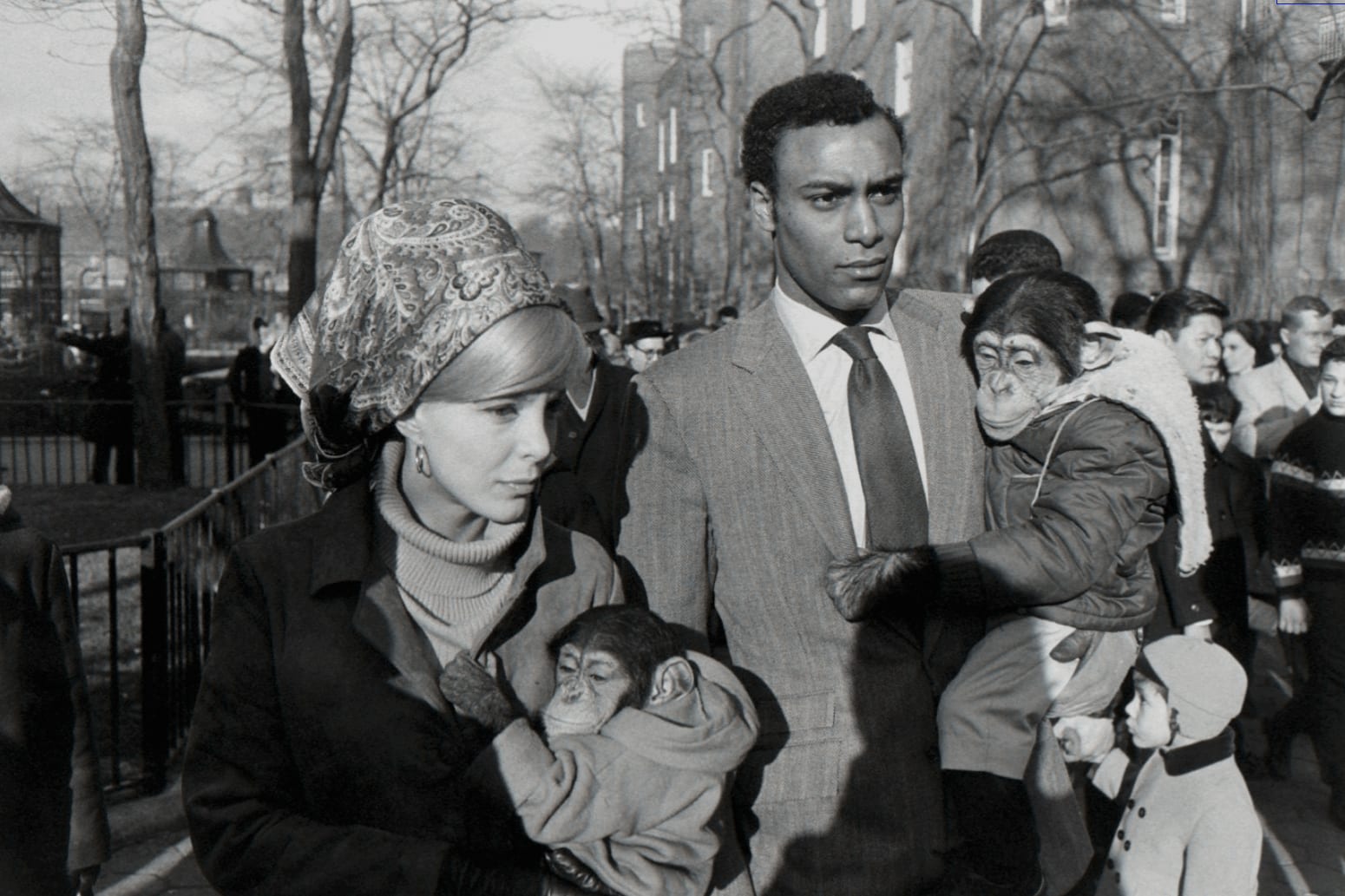 Garry Winogrand, Central Park Zoo, New York City, New York, 1967