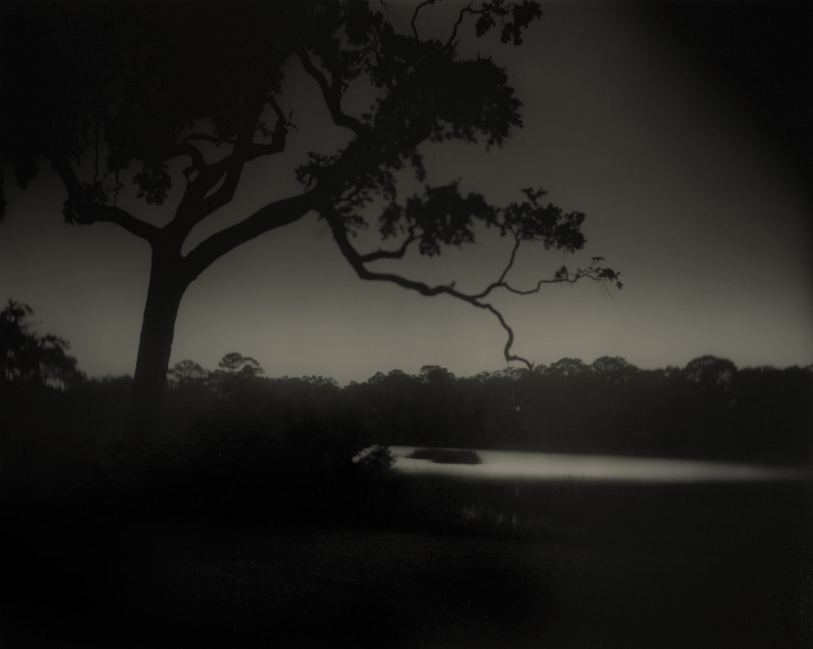 Sally Mann, Deep South, Untitled (Weyanoke Estate, Louisiana), 1998