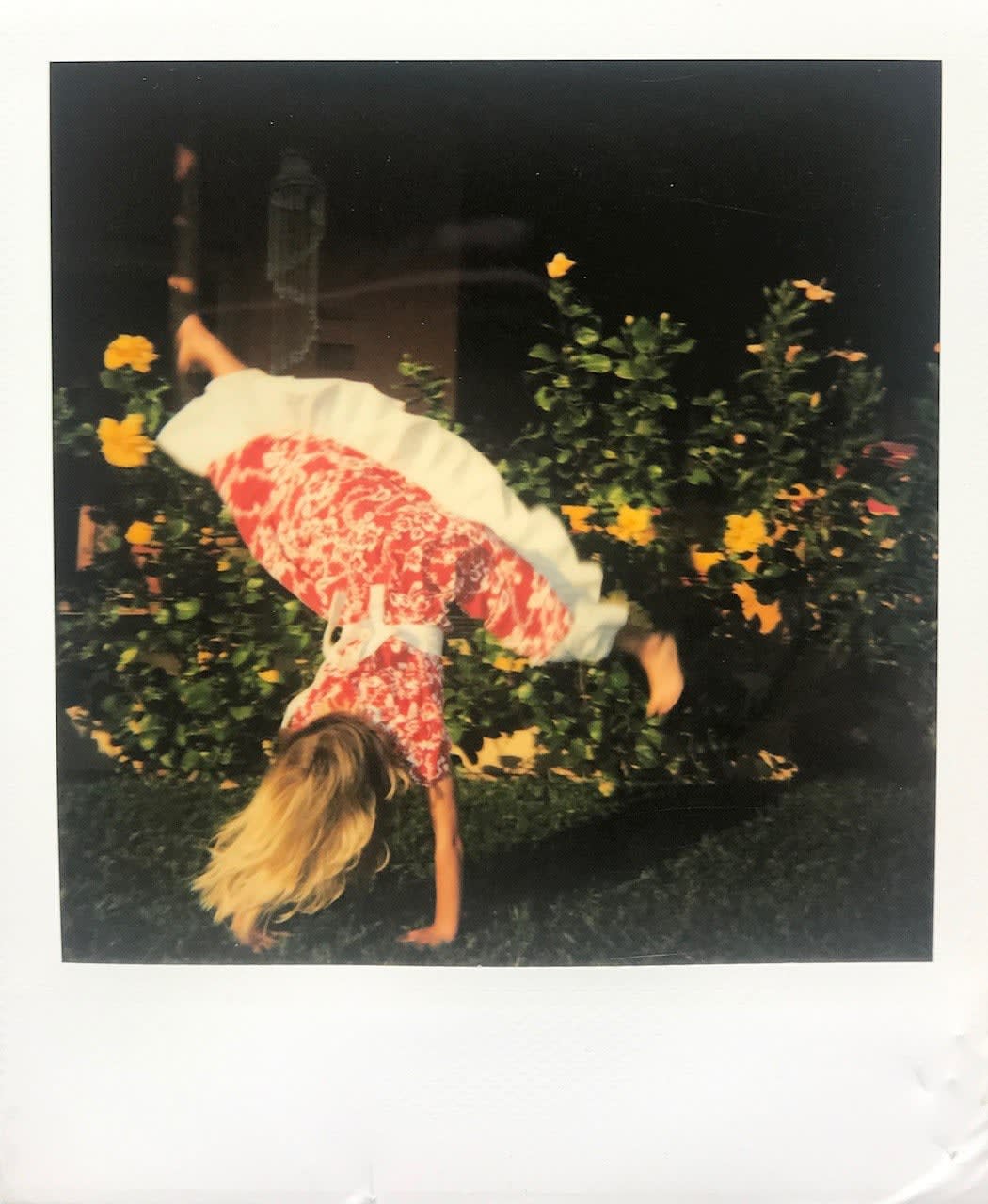 Christy Bush, Kartwheel in Jalisco, 2004