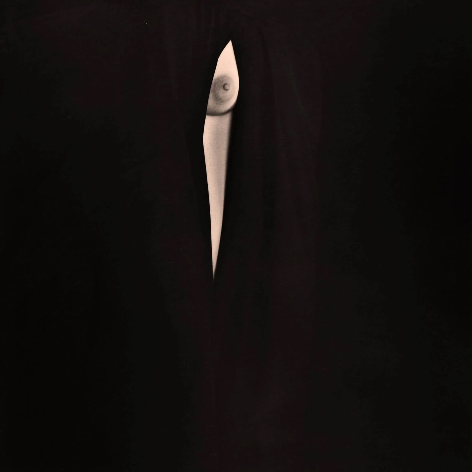 Yamamoto Masao, Nakazora #1400, 2006