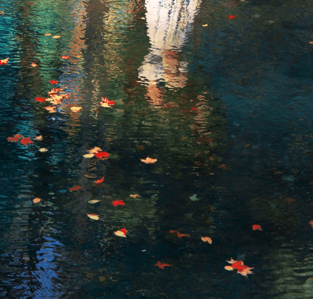 Erik Madigan Heck, Untitled