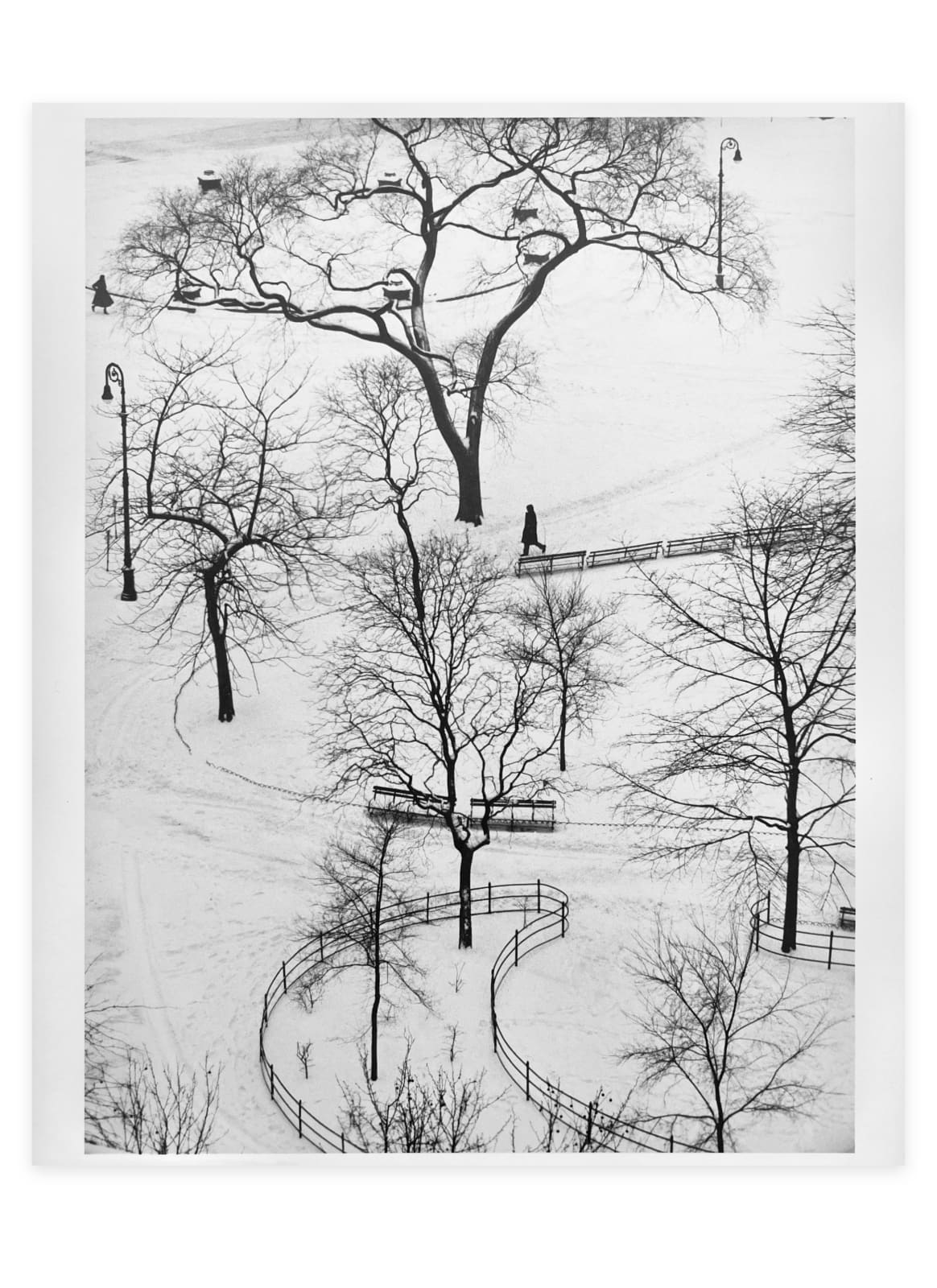 André Kertész, Washington Square, January 9, 1954