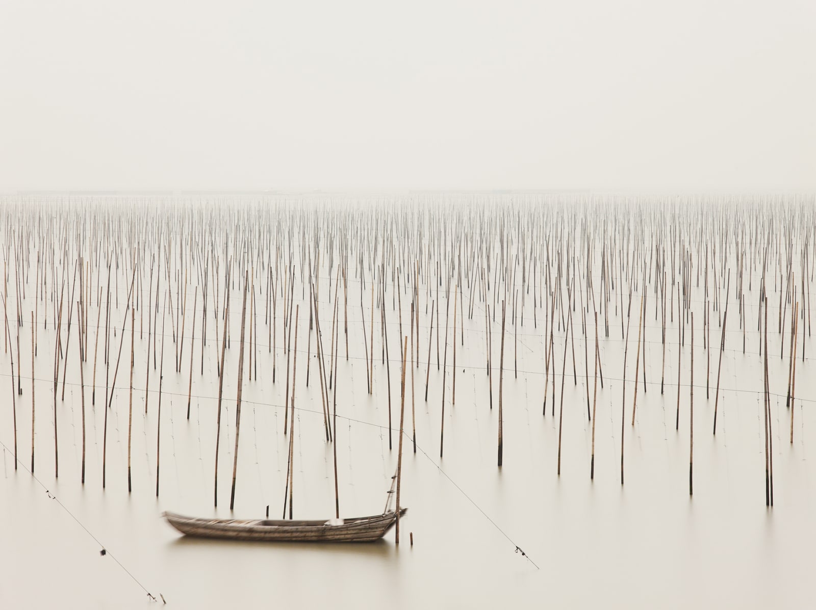 Josef Hoflehner, East China Sea, China, 2011