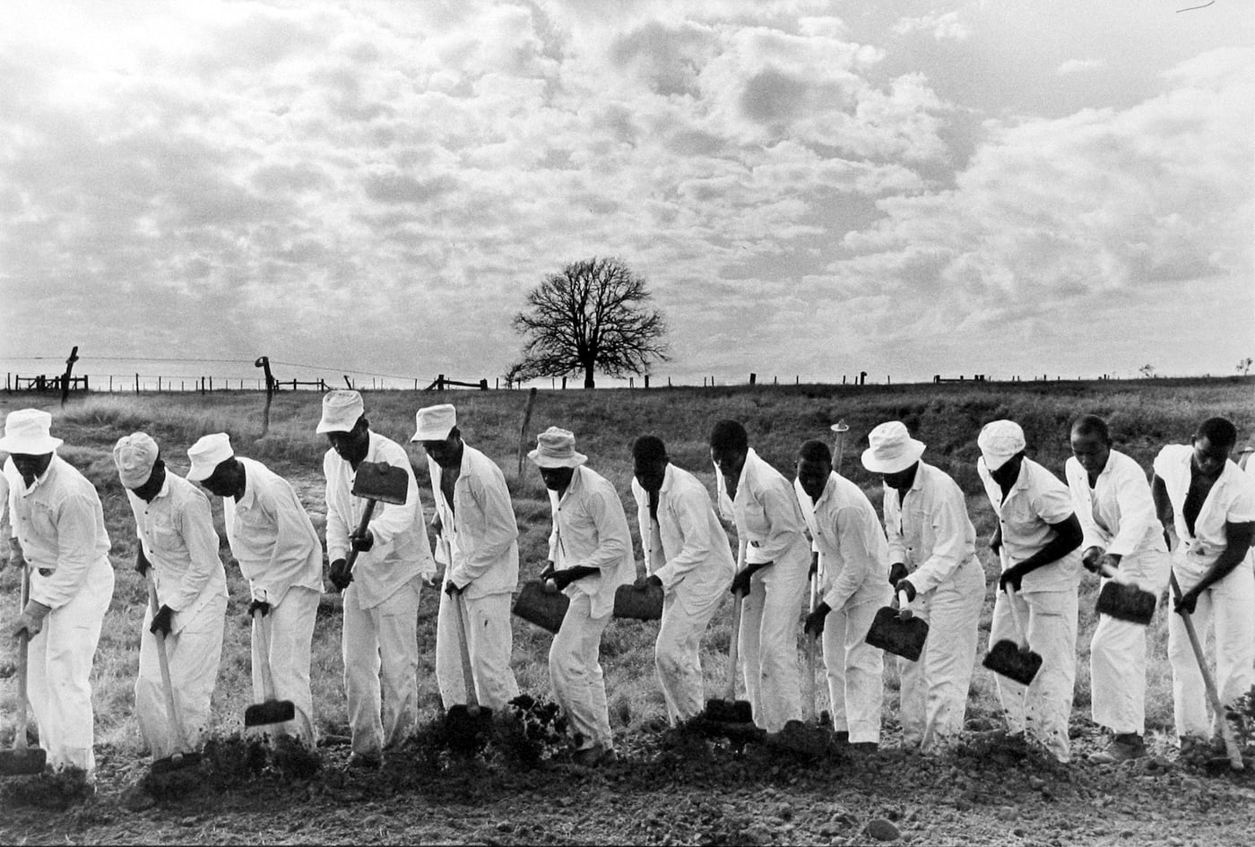 Danny Lyon, Prisoners Raking in Single Line, 1968