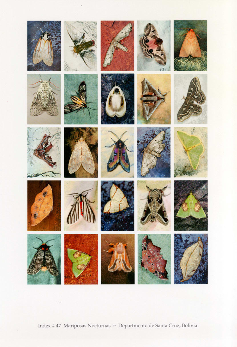 Emmet Gowin, Mariposas Nocturnas, Index No. 47, Departmento de Santa Cruz, Bolivia, October , 2012