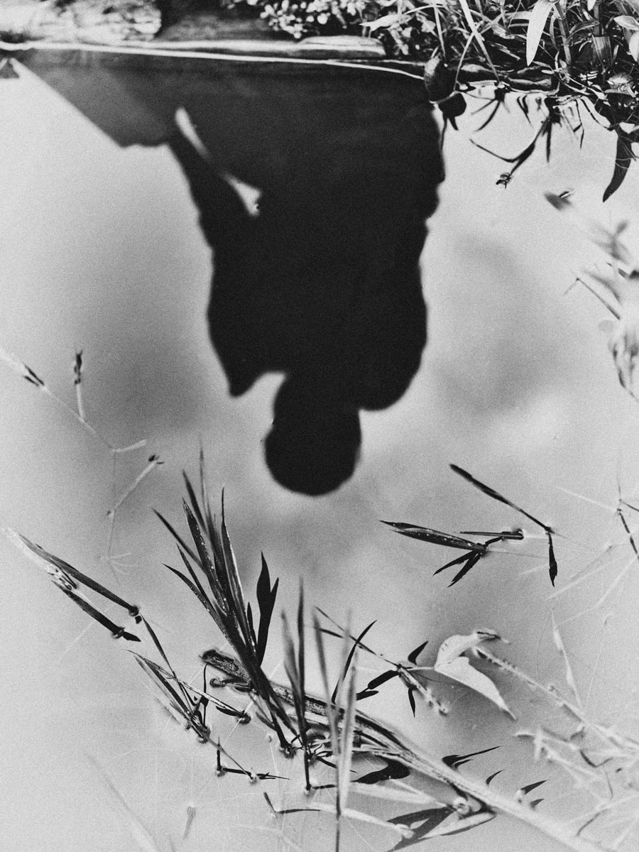 Bastiaan Woudt, Untitled from the series Mukono