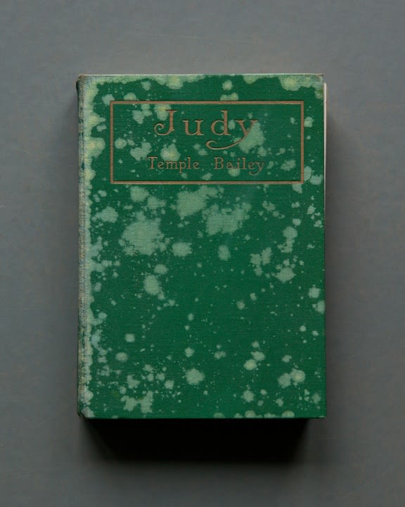 Mary Ellen Bartley, Judy, from the series Reading Grey Gardens, 2017