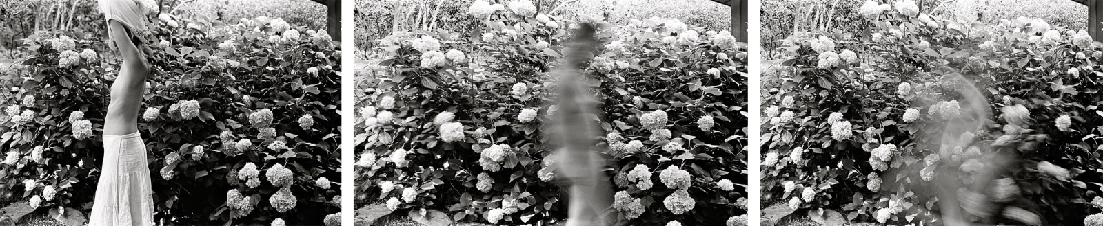 Chris Lowell, 31 Days, Triptych , 2011