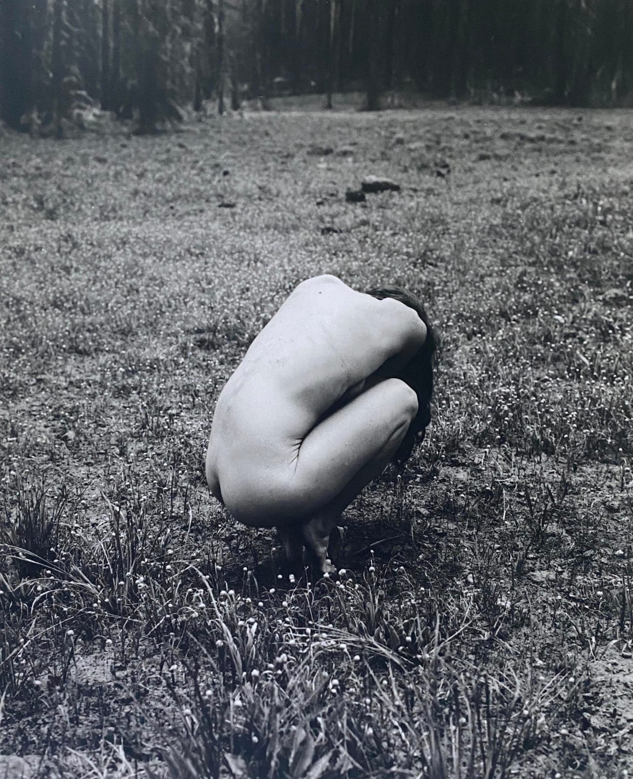 Tommy Nease, Naneum, 2018