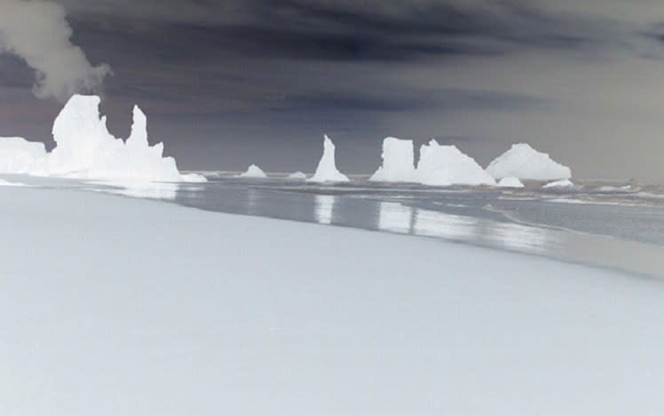 Richard Misrach, Untitled (on the coast of Oregan), 2007