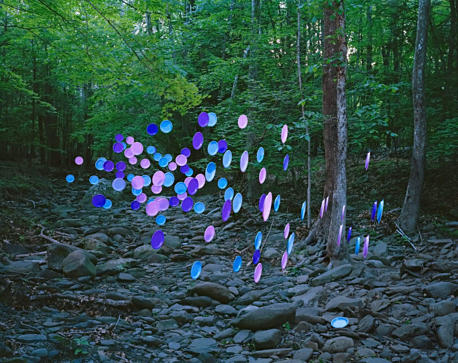Thomas Jackson, Plates no. 3, Accord, New York, 2014