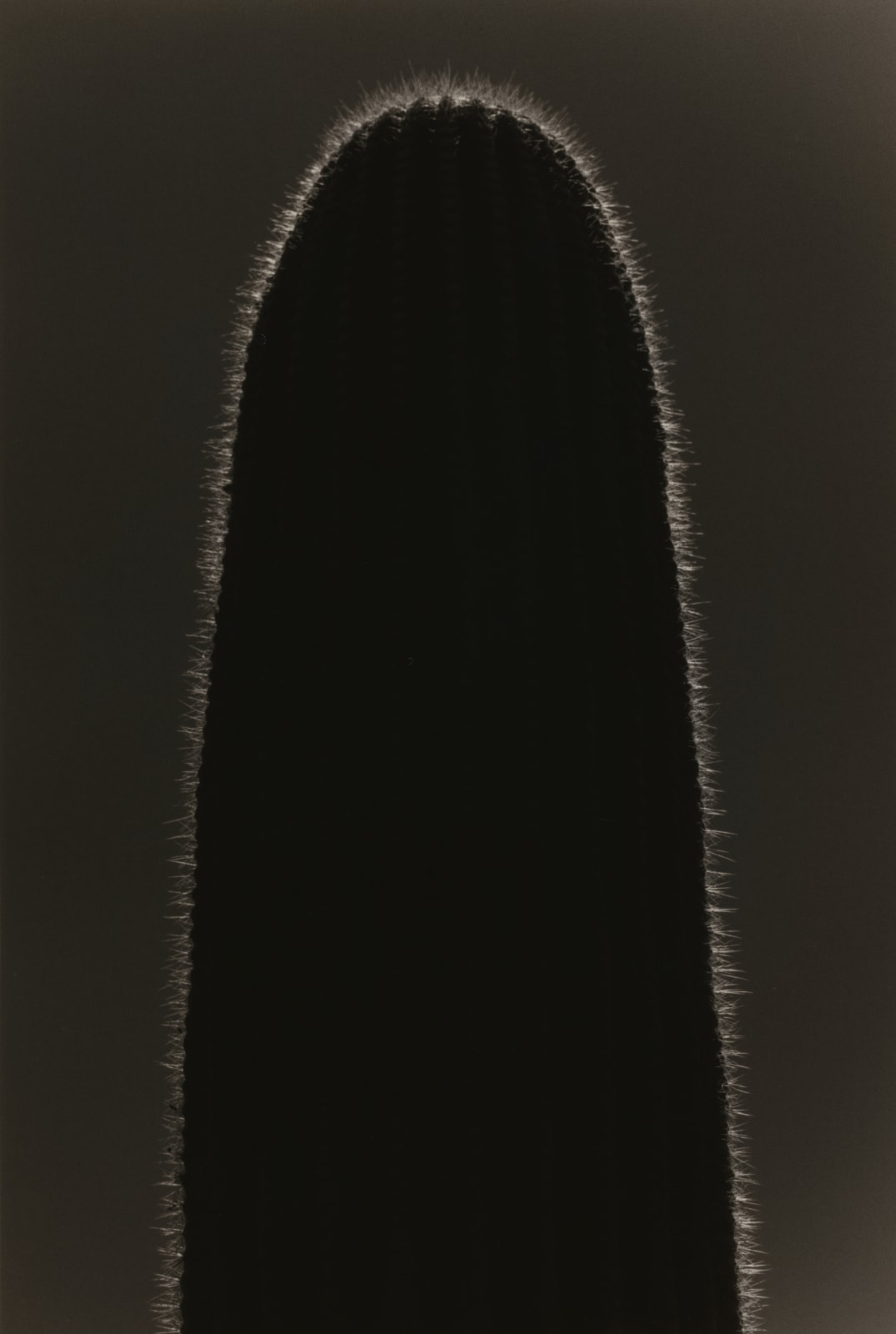 Yamamoto Masao, Kawa=Flow #1629
