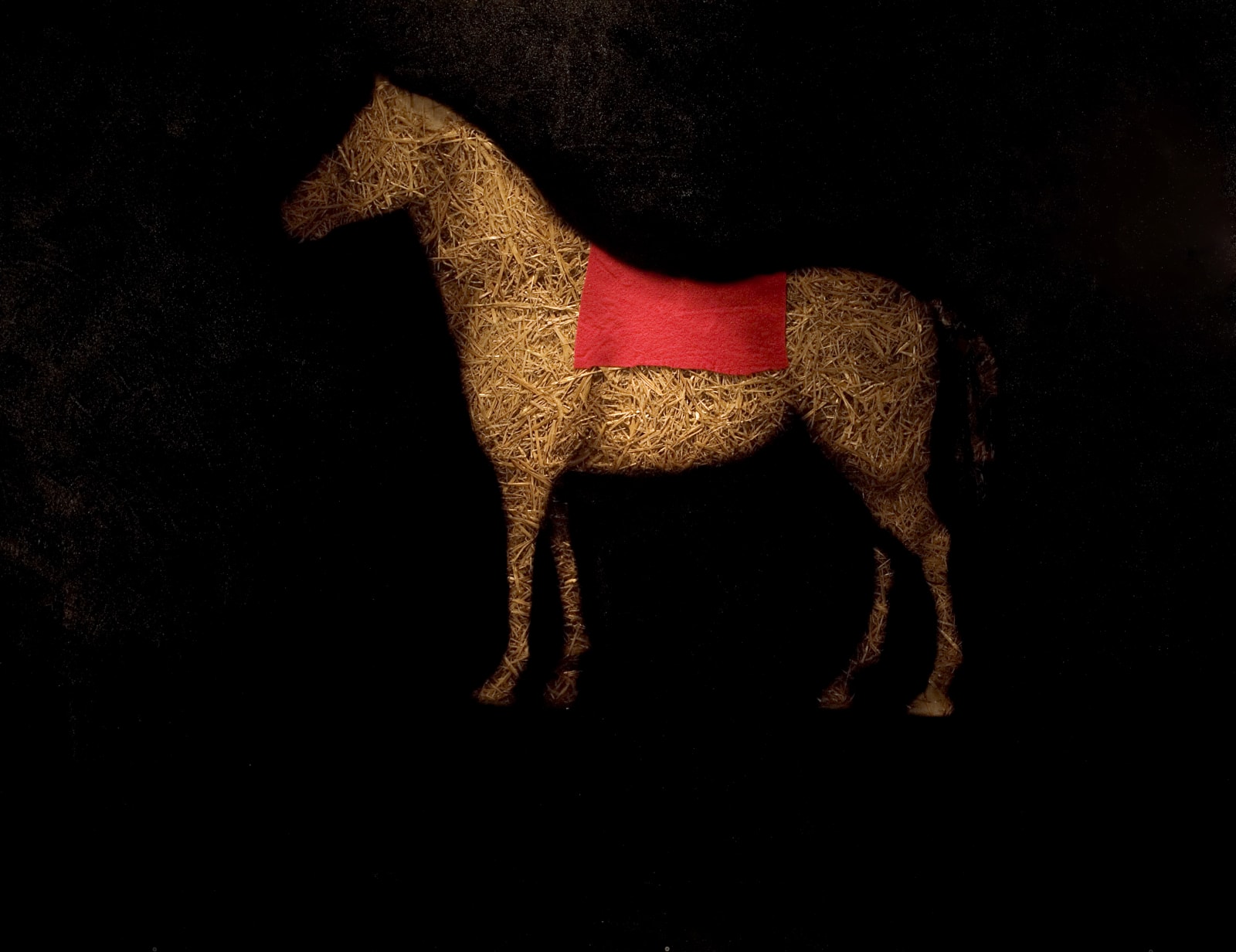 Todd Murphy, Untitled Horse, 2007