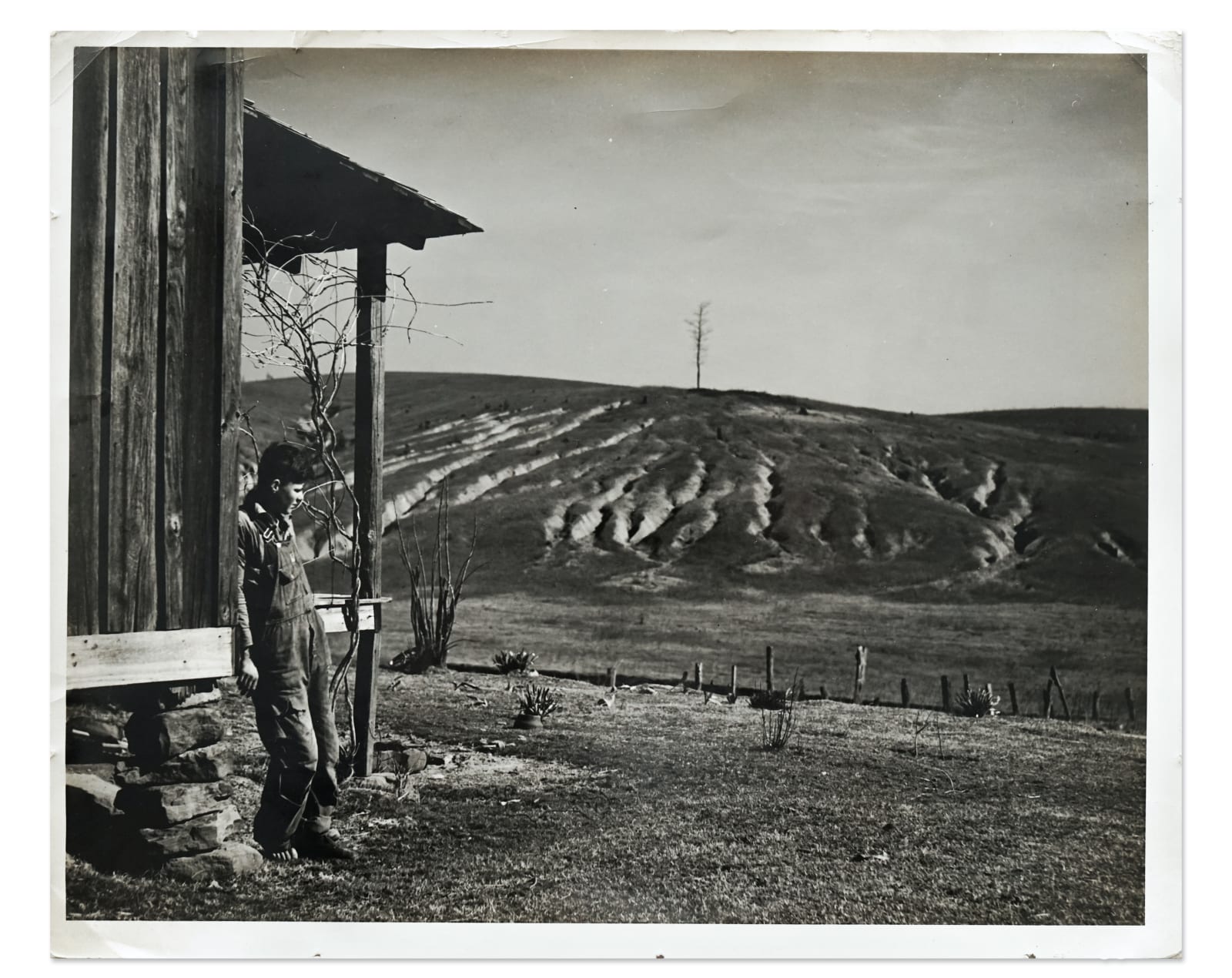 Arthur Rothstein, Eroded land on tenant's farm. Walker County, Alabama, 1937