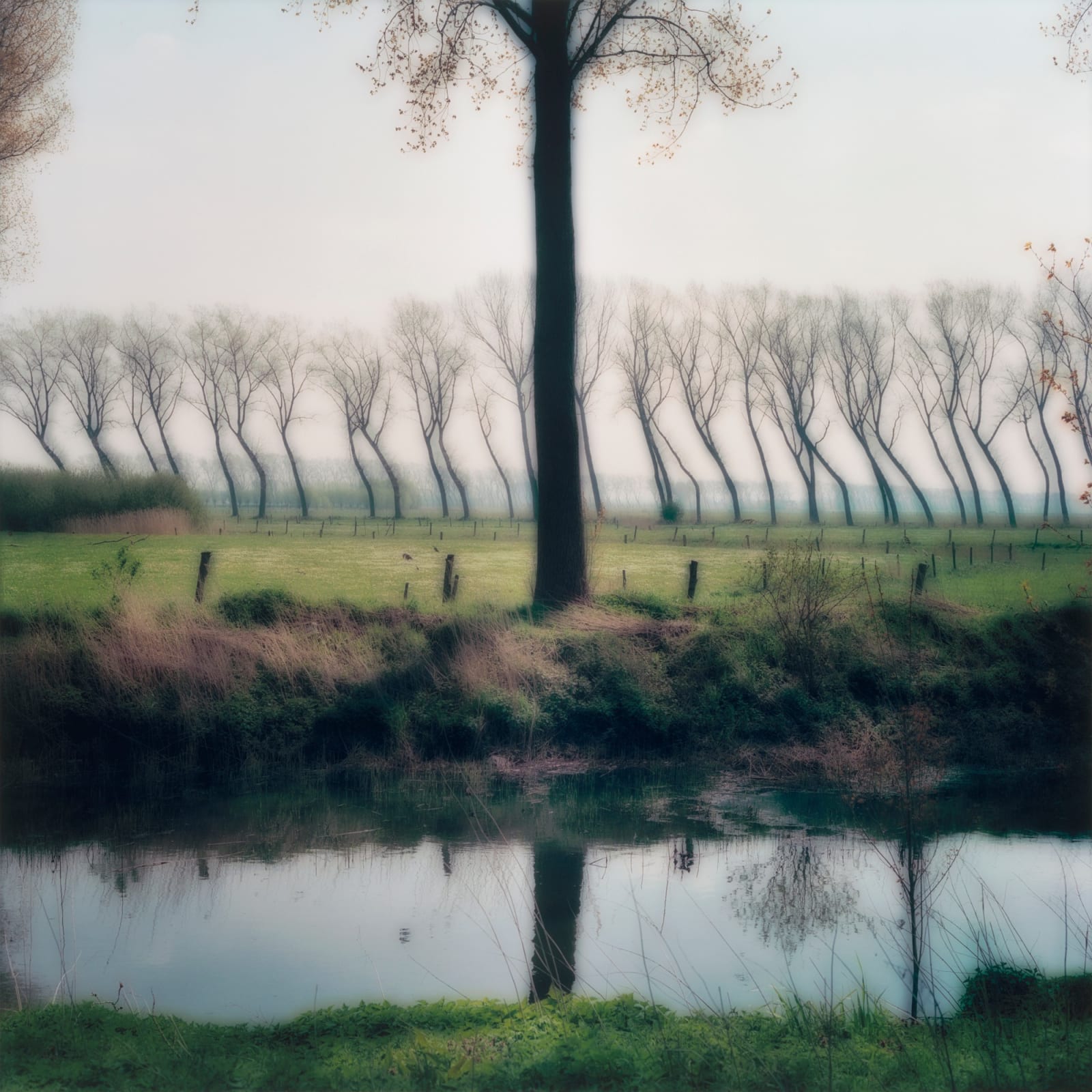 Lynn Geesaman, Damme, Belgium, (4-04-41c-4), 2004