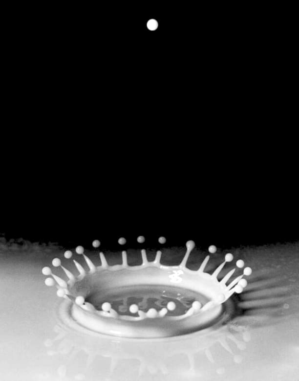 Harold Edgerton, Milk Drop Coronet Splash, 1936