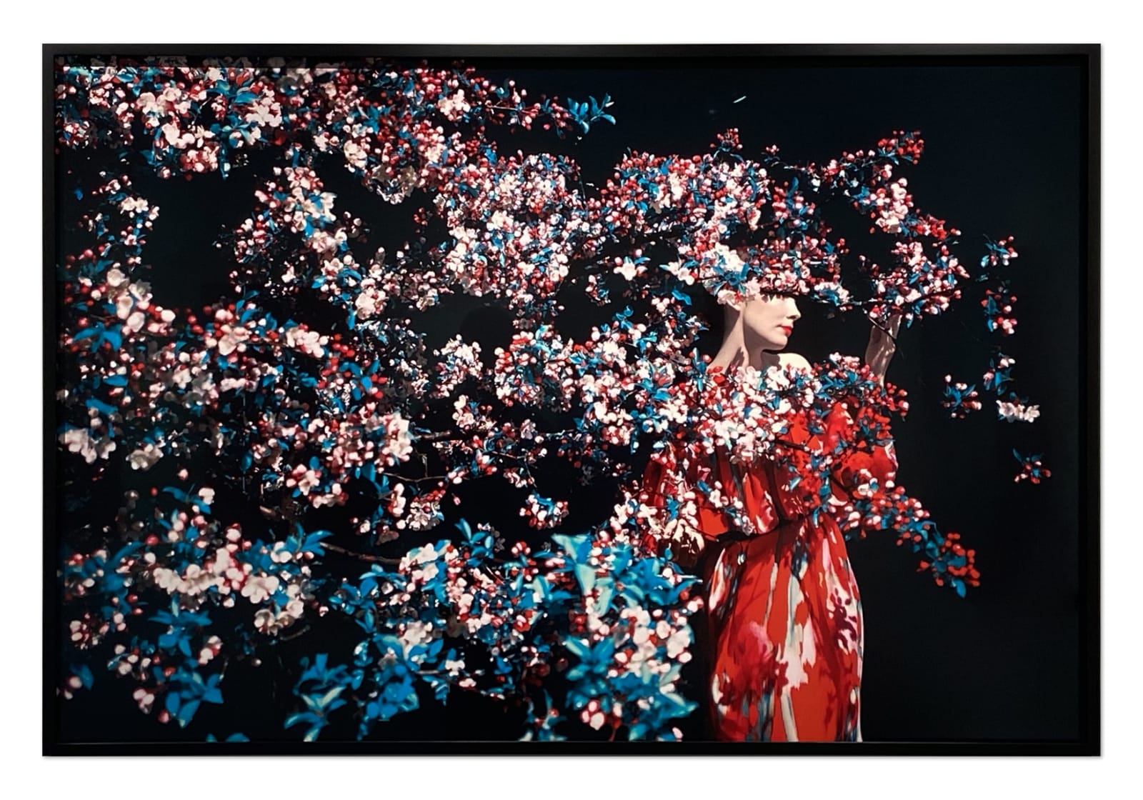 Erik Madigan Heck, Untitled, The Garden, 2019