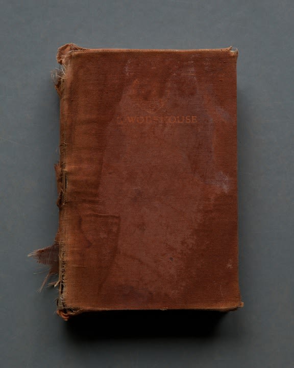 Mary Ellen Bartley, Wodehouse, from the series Reading Grey Gardens, 2017