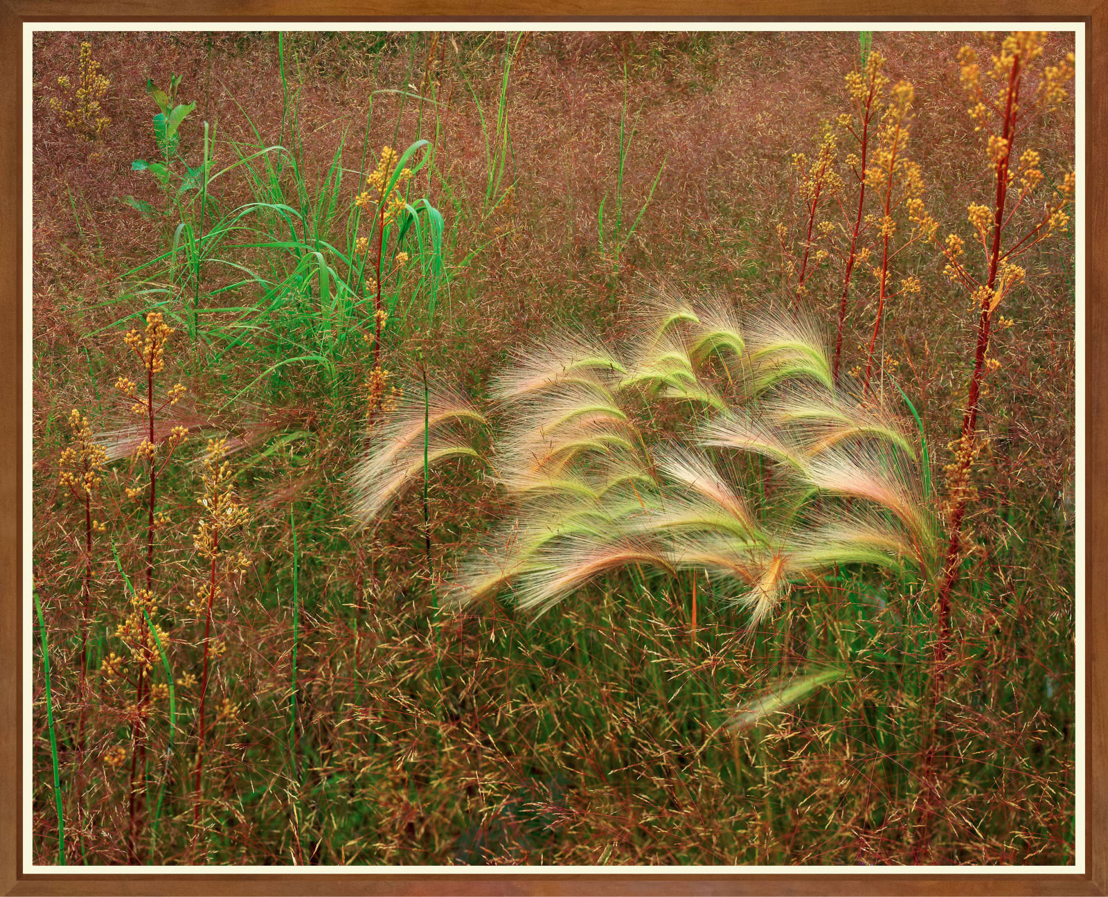 John Wawrzonek, Textures in Grass I, Anchorage, Alaska, 1977