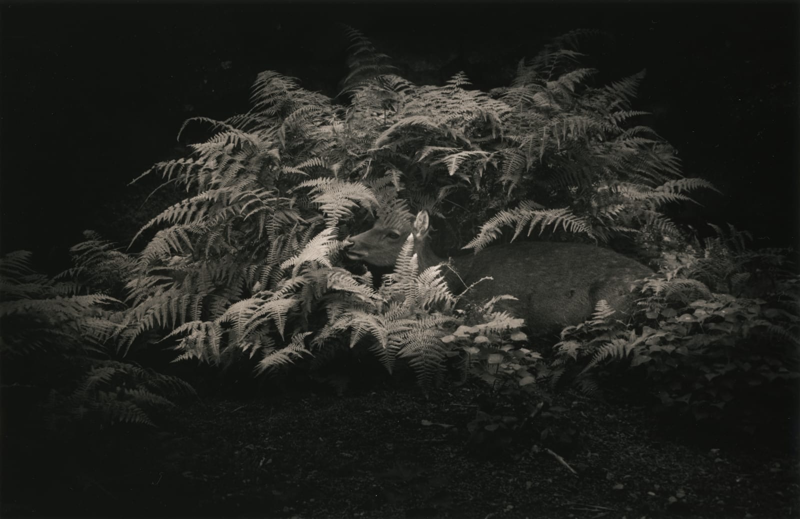 Yamamoto Masao, Kawa=Flow #1562