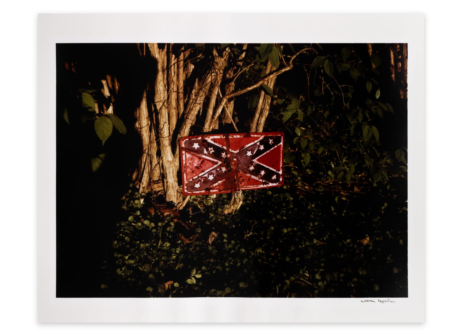 William Eggleston, Untitled (Rebel Flag License Plate on Tree), 1973