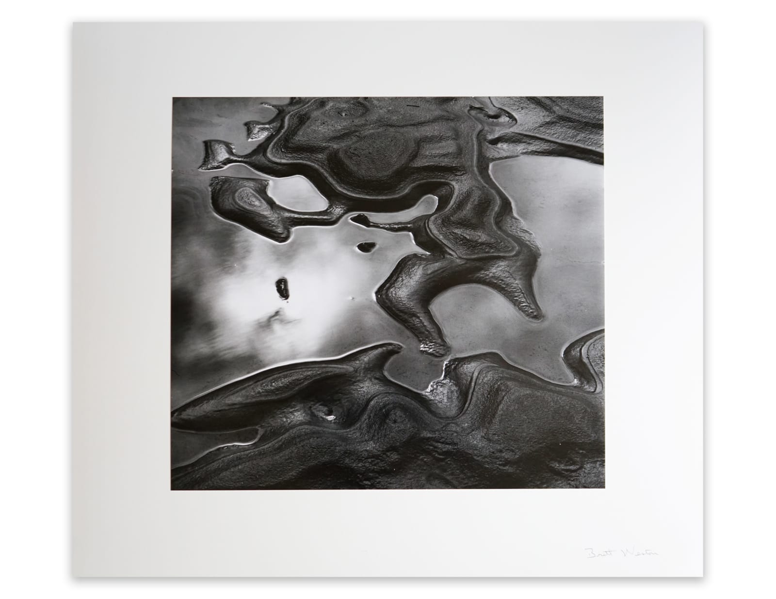 Brett Weston, Untitled